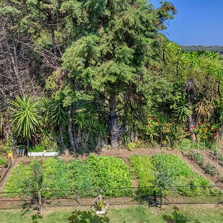 Apartman Christinas Ágios Matthaíos